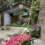 Hayati, Romantica * Arona (Tenerife)