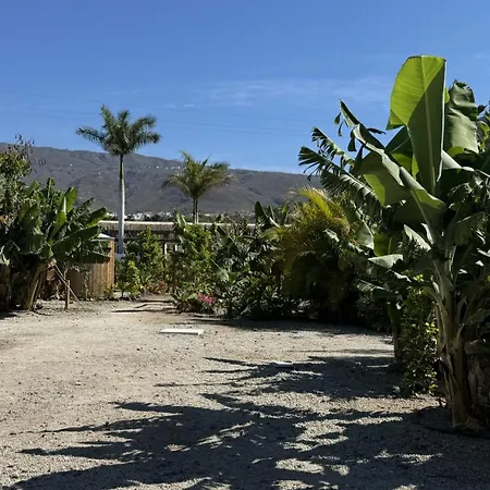A-hayati, Romantica Arona (Tenerife)