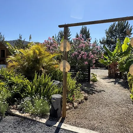 Apartman Hayati, Romantica