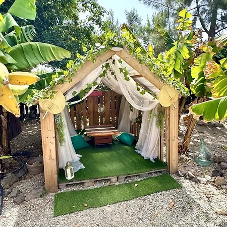 Hayati, Romantica * Arona