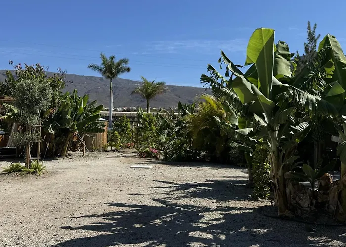 Hayati, Romantica Arona (Tenerife)