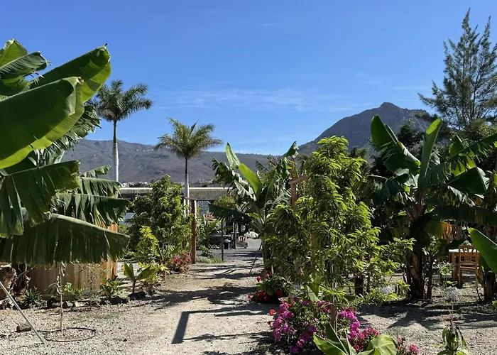 Daire Hayati, Romantica *